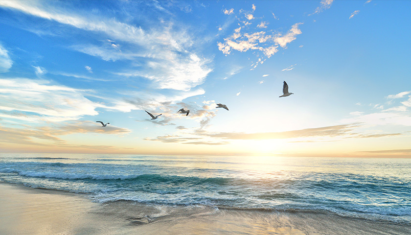 �й���yl23411(����)���Ź���-Officialwebsite