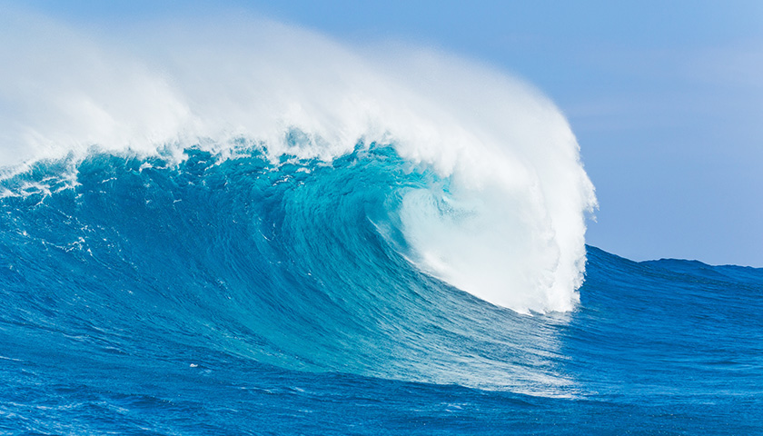 �й���yl23411(����)���Ź���-Officialwebsite