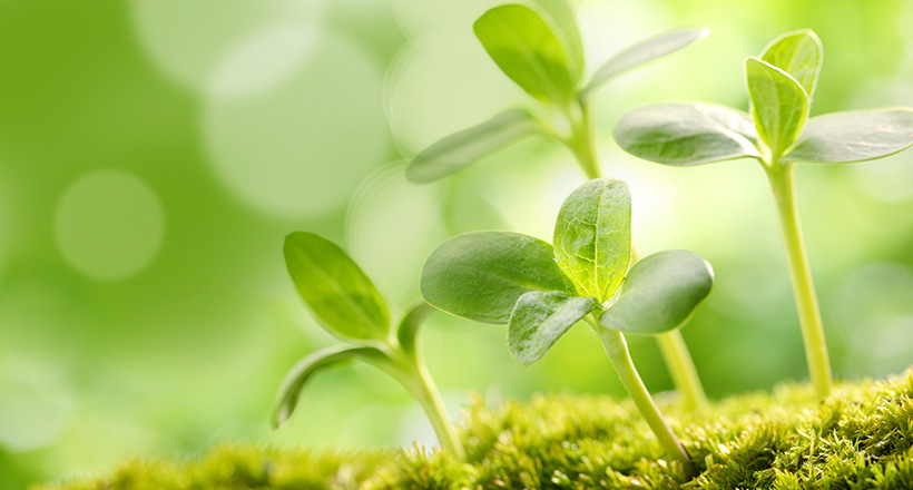 �й���yl23411(����)���Ź���-Officialwebsite