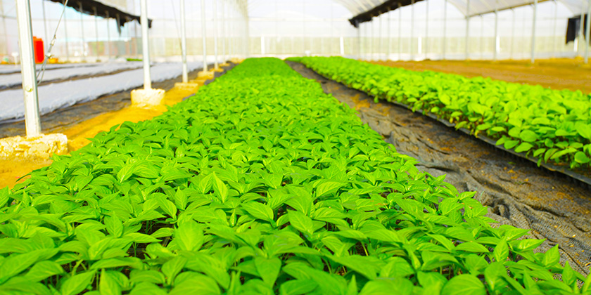 �й���yl23411(����)���Ź���-Officialwebsite