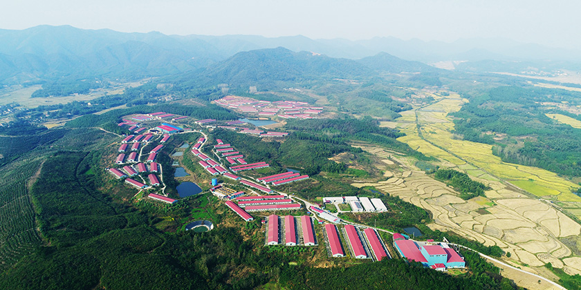 �й���yl23411(����)���Ź���-Officialwebsite