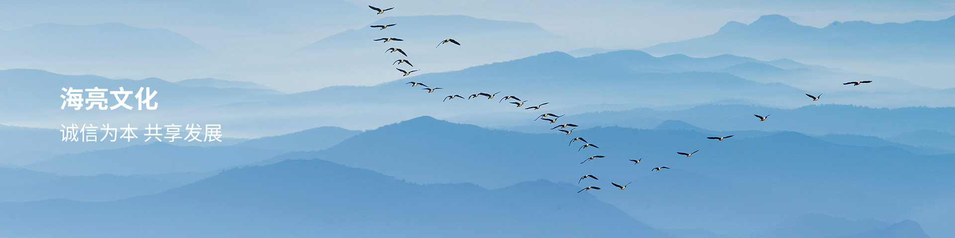 �й���yl23411(����)���Ź���-Officialwebsite