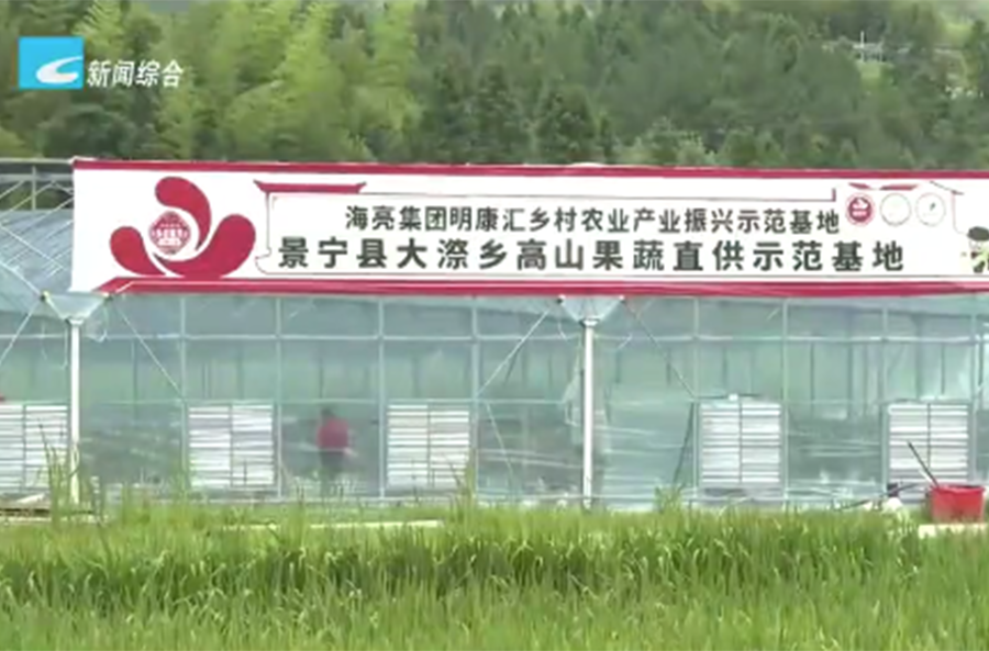 �й���yl23411(����)���Ź���-Officialwebsite