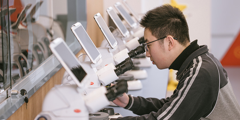 �й���yl23411(����)���Ź���-Officialwebsite